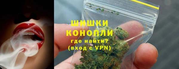 молекула духа Шарыпово