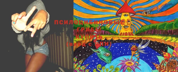 альфа пвп Гусь-Хрустальный