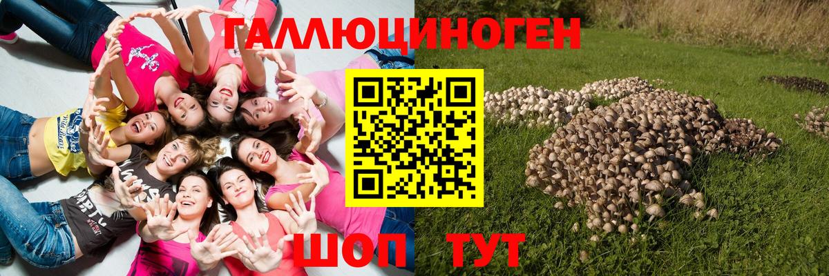 Галлюциногенные грибы мицелий  Галлюциногенные грибы ЛСД  Дмитров 