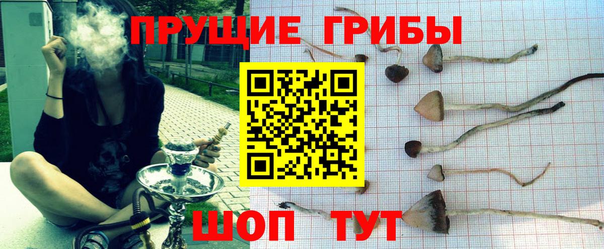Дмитров  Псилоцибиновые грибы MAGIC MUSHROOMS  Вход с VPN 