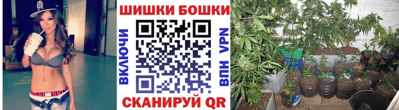Марихуана Amnesia  Дмитров 